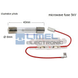 Poistka 6x40mm 5kV 700mA pre Mikrovlnné rúry v držiaku *
